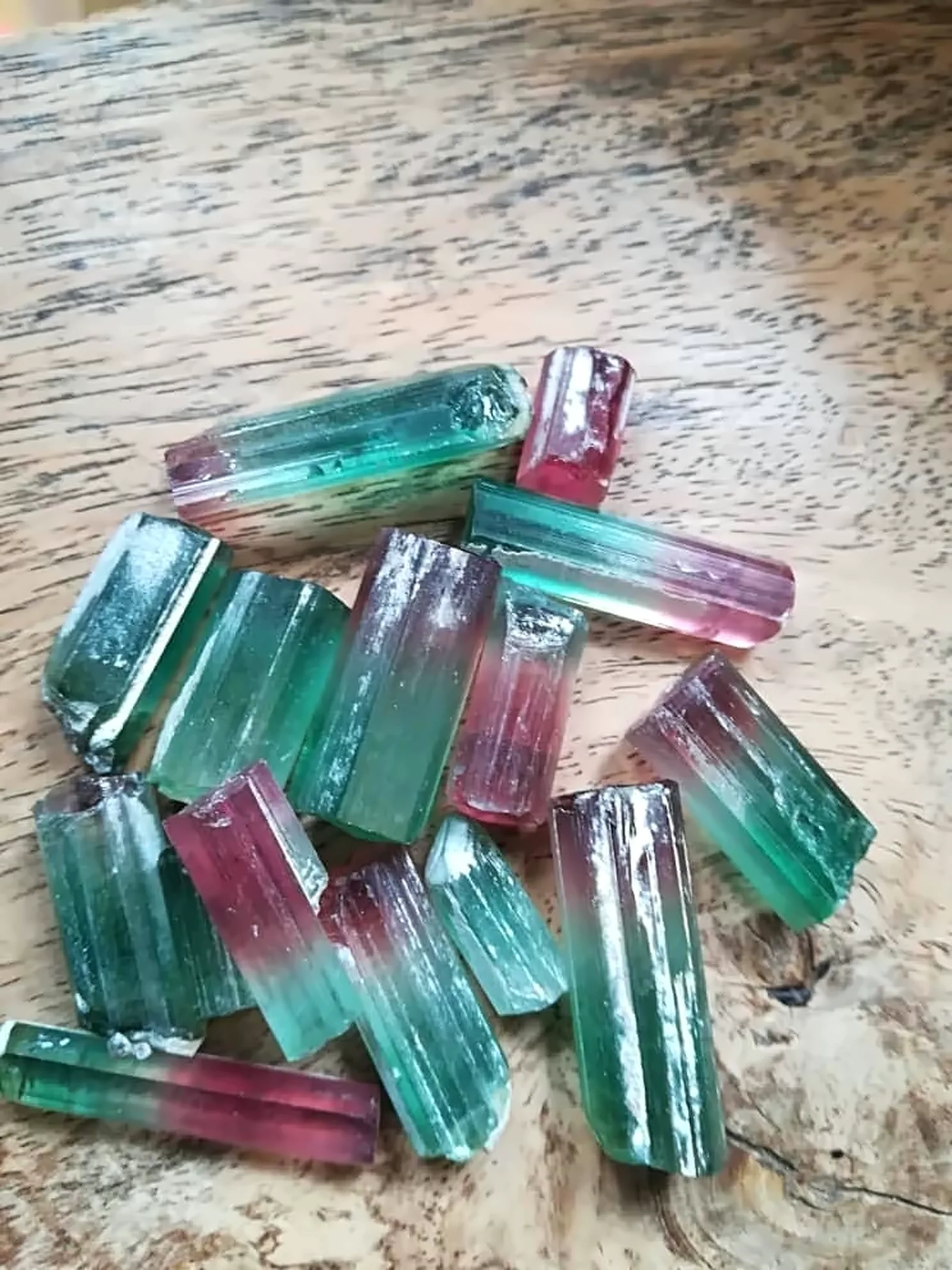 A handful of bi-colour tourmaline crystals, green shading into pink, on a wooden bench.